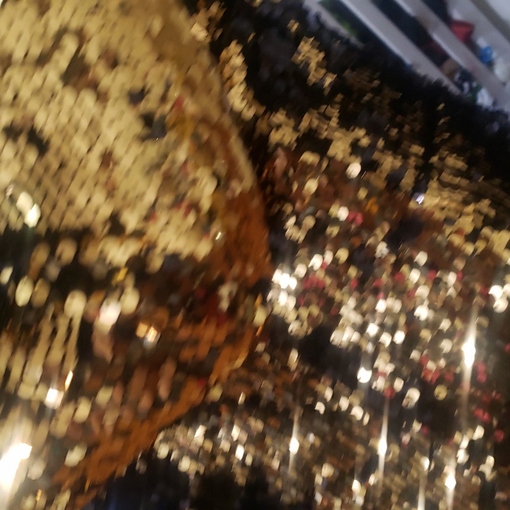 Sequin Jacket - image 7